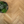 Otium Hout visgraat Sole gebeitst ultramat gelakt