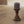Raftwood Pure, haal de natuur in huis!
