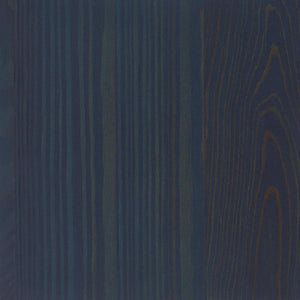 Larickhout Rubio Oil Plus 2C